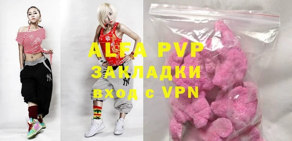прущие грибы Ладушкин