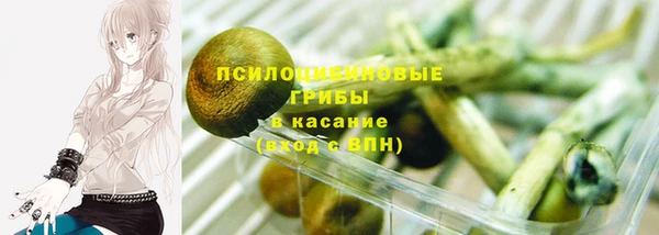 спиды Лабытнанги