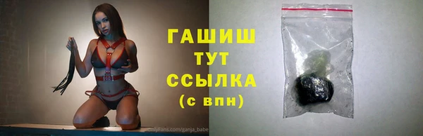 прущие грибы Ладушкин
