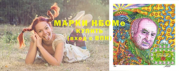 прущие грибы Ладушкин