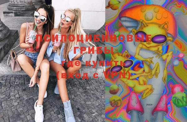 ГАЛЛЮЦИНОГЕННЫЕ ГРИБЫ Алзамай