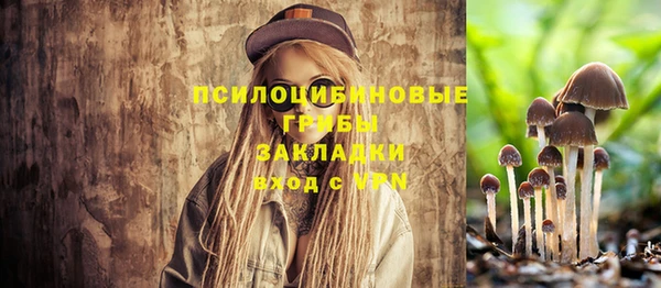 спиды Лабытнанги