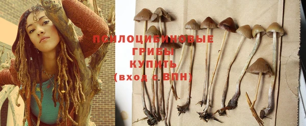 спиды Лабытнанги