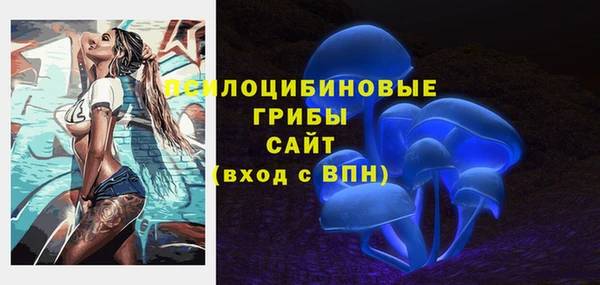 spice Богородицк