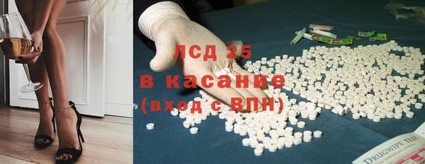 твердый Чегем