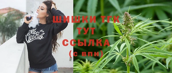 spice Лагань